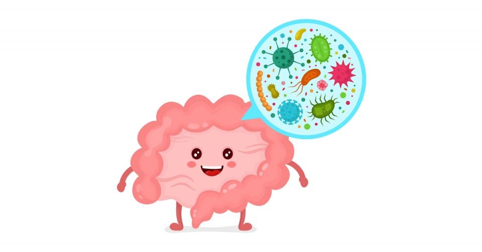 How your microbiome can change to restore good health image 